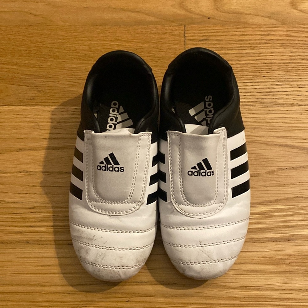 Adidas Adikick martial arts shoes